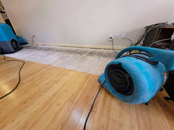 Professional Basement Flood Cleanup technician working in Cream Ridge, NJ